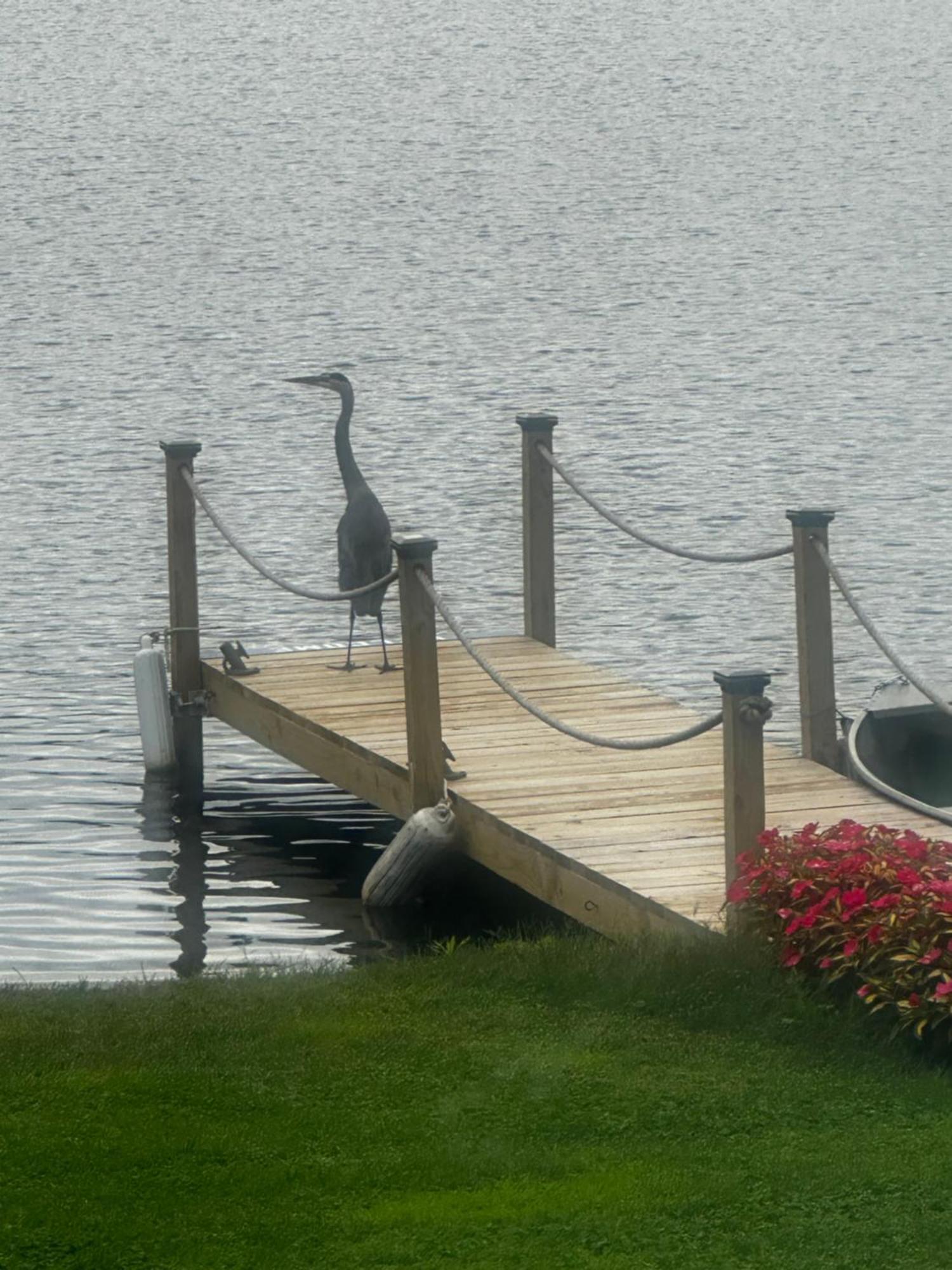 Welcome To The Lake Northwood Екстериор снимка
